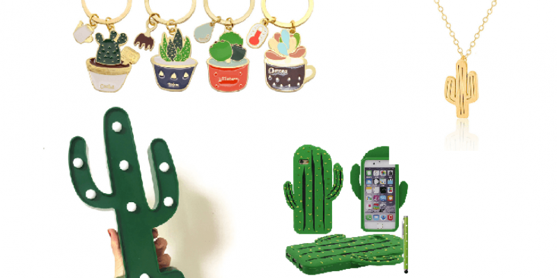 Siete artículos baratos y originales de cactus